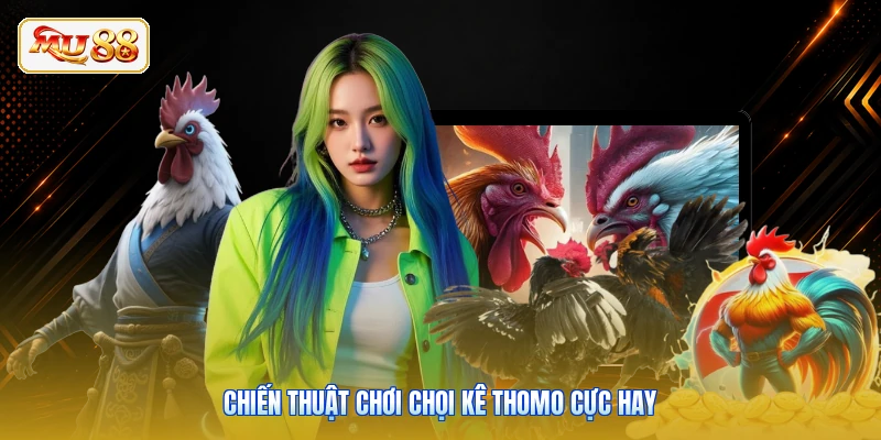 Chiến thuật chơi chọi kê Thomo cực hay