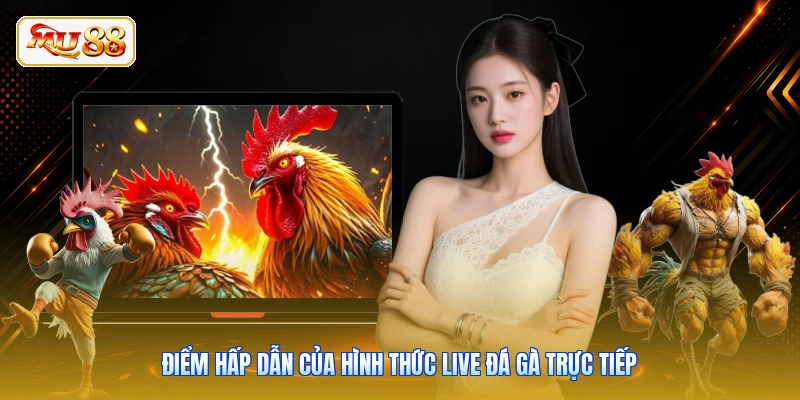 Điểm hấp dẫn của hình thức live đá gà trực tiếp