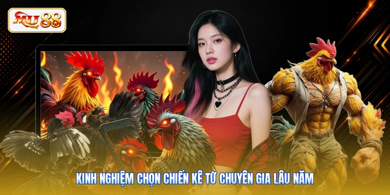 Kinh nghiệm chọn chiến kê từ chuyên gia lâu năm