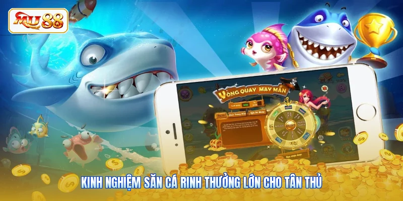 Kinh nghiệm săn cá rinh thưởng lớn cho tân thủ