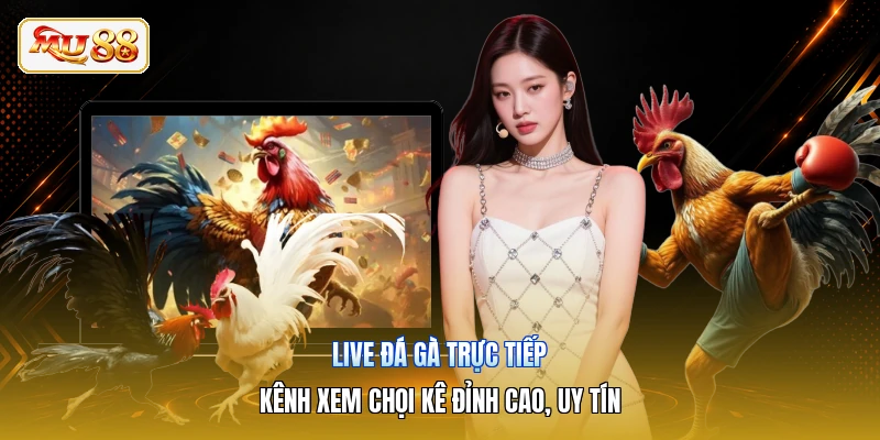Live Đá Gà Trực Tiếp | Kênh Xem Chọi Kê Đỉnh Cao, Uy Tín