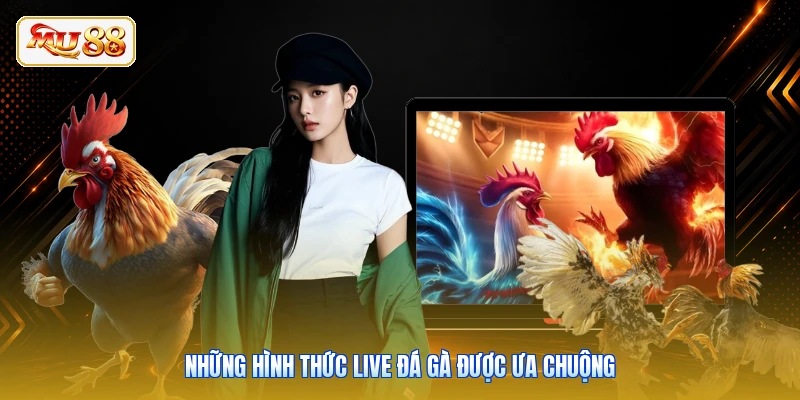 Những hình thức live đá gà được ưa chuộng