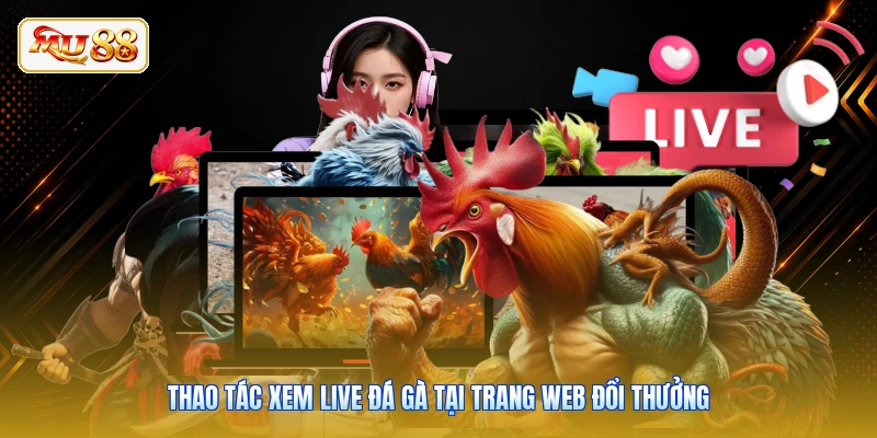Thao tác xem live đá gà tại trang web đổi thưởng