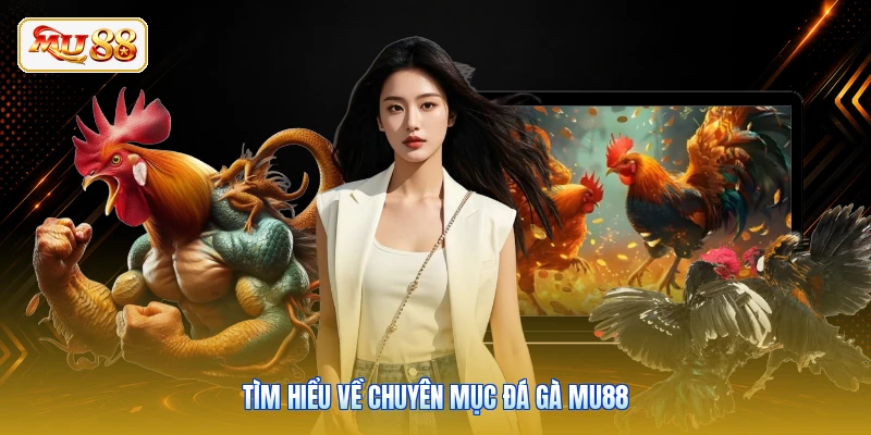 Tìm hiểu về chuyên mục đá gà MU88