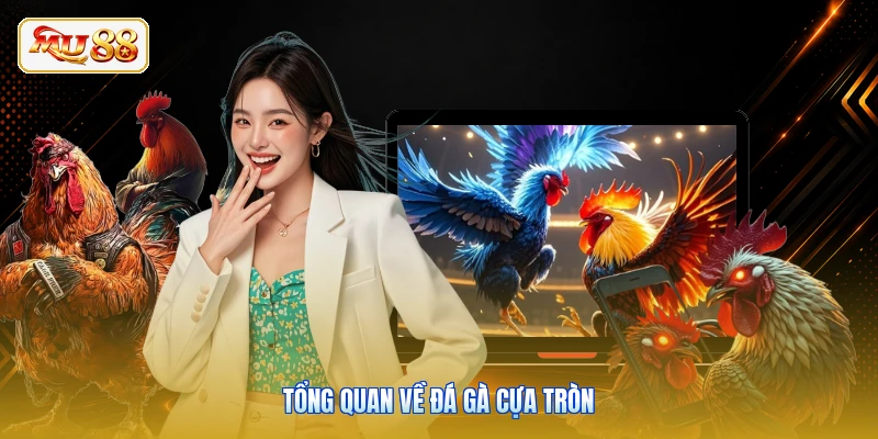 Tổng quan về đá gà cựa tròn